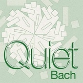 Thumbnail for the Christian Tetzlaff - Violin Sonata No. 3 in C Major, BWV 1005: III. Largo link, provided by host site