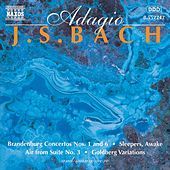 Thumbnail for the Nicholas Goluses - Violin Sonata No. 3 in C major, BWV 1005 (trans. guitar): Largo link, provided by host site