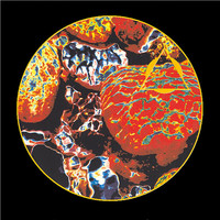 Thumbnail for the Transonic - Virtual Current link, provided by host site