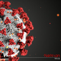 Thumbnail for the Nelman - Virus link, provided by host site