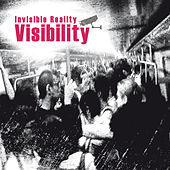 Thumbnail for the Invisible Reality - Visibility link, provided by host site