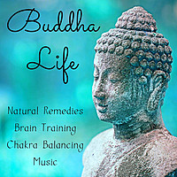 Thumbnail for the Nature Sounds Radio - Visions - Deep Meditation Music link, provided by host site