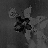 Thumbnail for the Jefre Cantu-Ledesma - Visiting This World link, provided by host site