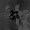 Thumbnail for the Jefre Cantu-Ledesma - Visiting This World link, provided by host site