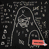 Thumbnail for the Of Monsters and Men - Visitor (Muna Remix) link, provided by host site