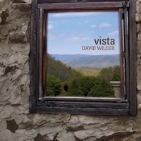 Image of David Wilcox linking to their artist page due to link from them being at the top of the main table on this page