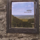 Thumbnail for the David Wilcox - Vista link, provided by host site