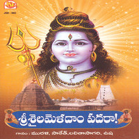Thumbnail for the Muralidar - Viswanathudu link, provided by host site