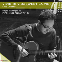 Thumbnail for the Pierluigi Colangelo - Vivir Mi Vida (Two Guitars) link, provided by host site