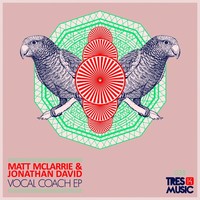 Thumbnail for the Jonathan David - Vocal Coach - Original Mix link, provided by host site