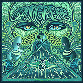 Thumbnail for the Gangrene - Vodka & Ayahuasca link, provided by host site