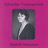 Thumbnail for the Elisabeth Schumann - Voi che sapete (Le nozze di Figaro) link, provided by host site