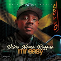 Thumbnail for the Mr Easy - Voice Name Reggae link, provided by host site