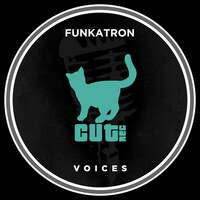 Thumbnail for the Funkatron - Voices link, provided by host site