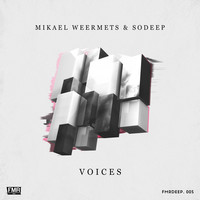 Thumbnail for the Mikael Weermets - Voices link, provided by host site