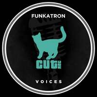 Image of Funkatron linking to their artist page due to link from them being at the top of the main table on this page