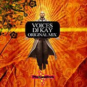 Thumbnail for the DJ Kay - Voices link, provided by host site