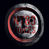 Image of NT89 linking to their artist page due to link from them being at the top of the main table on this page