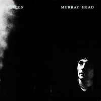 Thumbnail for the Murray Head - Voices link, provided by host site