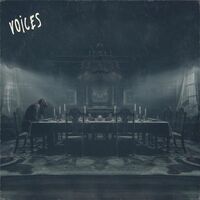 Thumbnail for the Aviva - VOICES link, provided by host site