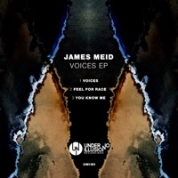 Thumbnail for the James Meid - Voices link, provided by host site