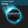 Thumbnail for the Andrew StetS - Voices link, provided by host site