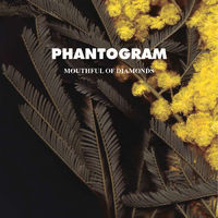 Thumbnail for the Phantogram - Voices link, provided by host site