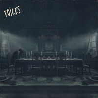Thumbnail for the Aviva - VOICES link, provided by host site