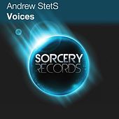 Thumbnail for the Andrew StetS - Voices link, provided by host site