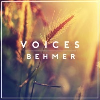 Image of Behmer linking to their artist page due to link from them being at the top of the main table on this page