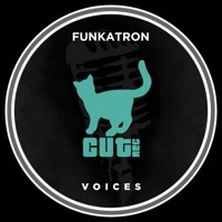 Thumbnail for the Funkatron - Voices link, provided by host site