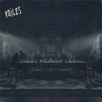 Thumbnail for the Aviva - Voices link, provided by host site