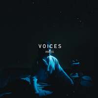 Thumbnail for the Amess - Voices link, provided by host site