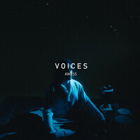 Thumbnail for the Amess - Voices link, provided by host site