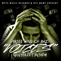 Image of Partee linking to their artist page due to link from them being at the top of the main table on this page