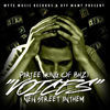 Thumbnail for the Partee - Voices (Mo Money) link, provided by host site