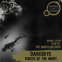 Thumbnail for the Darkskye - Voices of the Night link, provided by host site