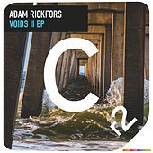 Thumbnail for the Adam Rickfors - Voids II link, provided by host site