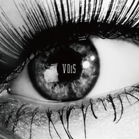 Thumbnail for the NAT - VOiS link, provided by host site