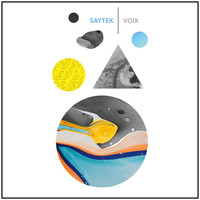Image of Saytek linking to their artist page due to link from them being at the top of the main table on this page