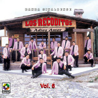 Thumbnail for the Banda Sinaloense Los Recoditos - Vol. 6, Adiós Amor link, provided by host site