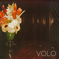 Thumbnail for the Volo - Volo link, provided by host site