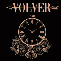 Thumbnail for the SMF - Volver link, provided by host site