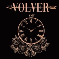 Thumbnail for the SMF - Volver link, provided by host site