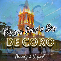 Thumbnail for the Brandy - Vos Sos Loco o Sos de Coro link, provided by host site