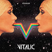 Thumbnail for the Vitalic - Voyager link, provided by host site