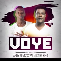 Thumbnail for the AndyBeatZ - Voye link, provided by host site