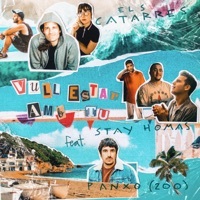 Thumbnail for the Els Catarres - Vull estar amb tu link, provided by host site
