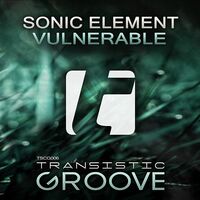 Thumbnail for the Sonic Element - Vulnerable link, provided by host site