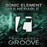 Thumbnail for the Sonic Element - Vulnerable link, provided by host site